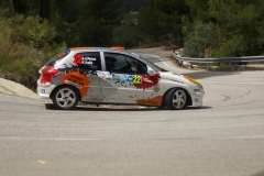 Rallye-Alcoy-2013-115