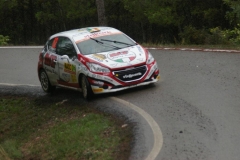Rallye-Cataluña-2018-TC12-Querol-13