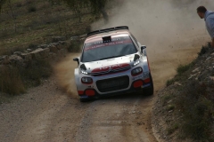 Rallye-Cataluña-2018-TC5-Fatarella-160