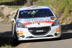 Rallye-Cataluña-2019-TC11-Querol-83