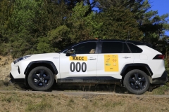Rallye-Cataluña-2019-TC17-Mussara-1