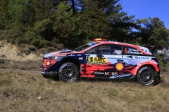 Rallye-Cataluña-2019-TC17-Mussara-16