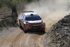 Rallye-Cataluña-2019-TC3-Fatarella-29