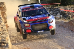 Rallye-Cataluña-2019-TC6-Fatarella-48